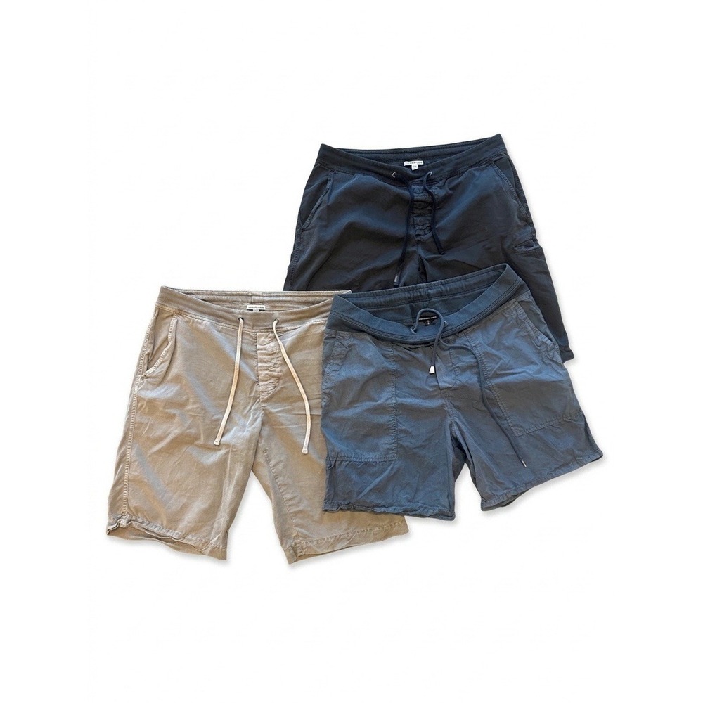 LOT OF 3 Standard James Perse Shorts Men Multicolor Sz 4 D-String Navy/Gray/Blue